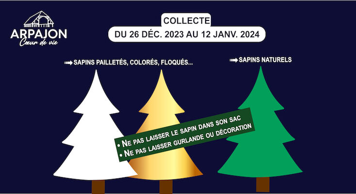 Collecte Des Sapins 2023 Ville Darpajon 0684